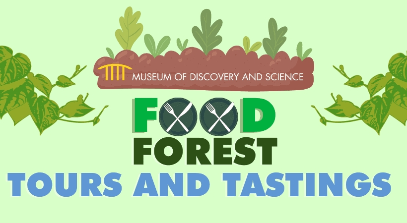 Food Forest Tours and Tastings